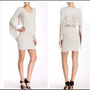 Ronny kobo fringe body on mini dress